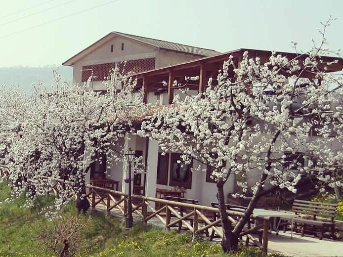 Agriturismo Al Ciliegio Villa Marostica Exterior photo